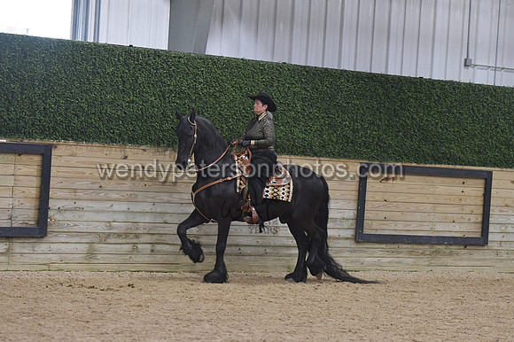 093_9799-Do_not_copy_PROOF