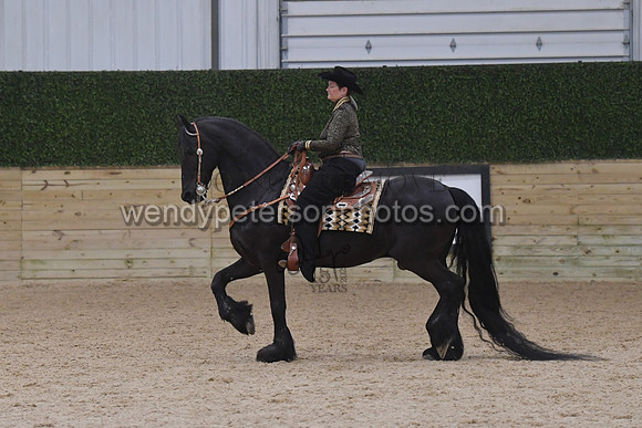 093_9801-Do_not_copy_PROOF