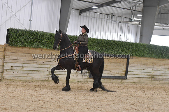 093_9803-Do_not_copy_PROOF