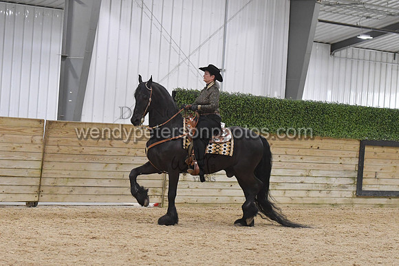 093_9804-Do_not_copy_PROOF