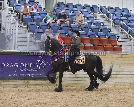 093_9816-Do_not_copy_PROOF