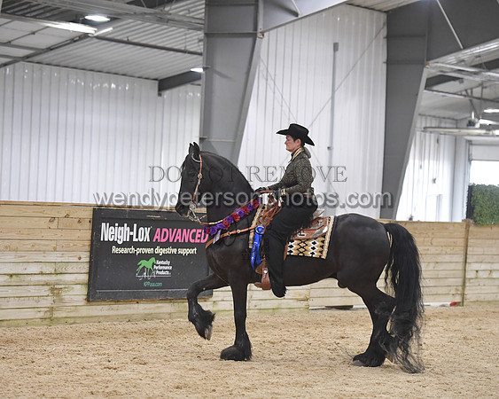 093_9813-Do_not_copy_PROOF