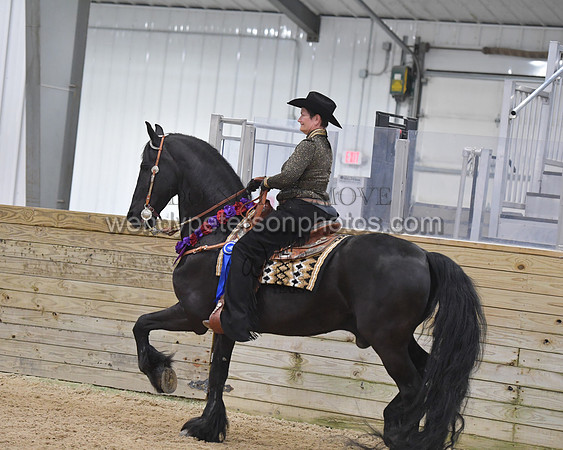 093_9818-Do_not_copy_PROOF