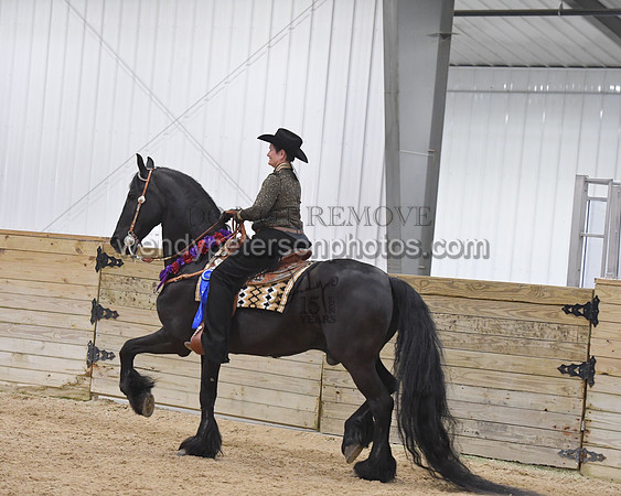093_9819-Do_not_copy_PROOF
