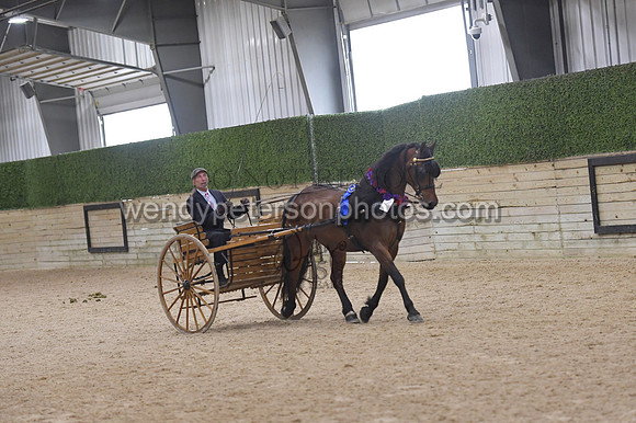 093_9793-Do_not_copy_PROOF