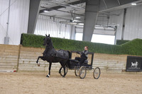 92 DHH Open American Dutch Harness