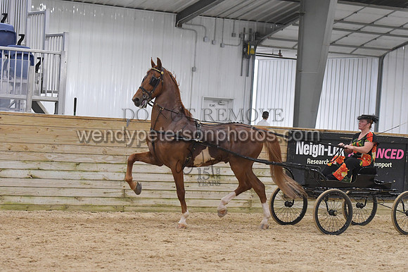 092_9854-Do_not_copy_PROOF