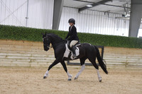 090 Part Bred Friesian English Show Hack