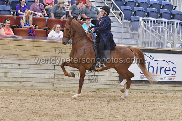 088_9683-Do_not_copy_PROOF
