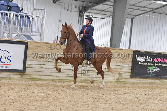 088_9682-Do_not_copy_PROOF