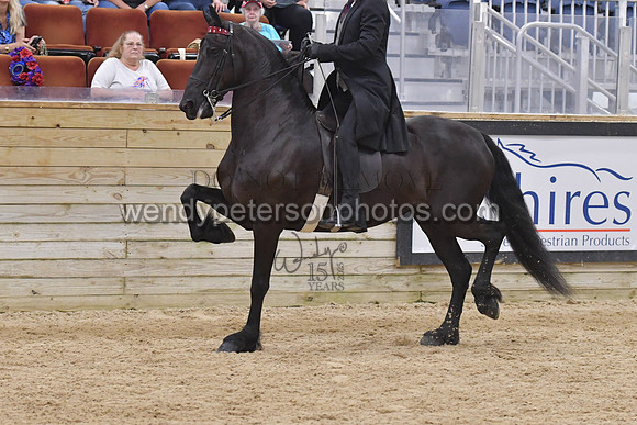 088_9679-Do_not_copy_PROOF