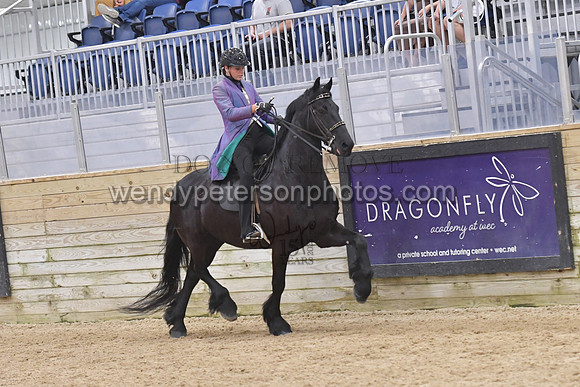 088_9691-Do_not_copy_PROOF