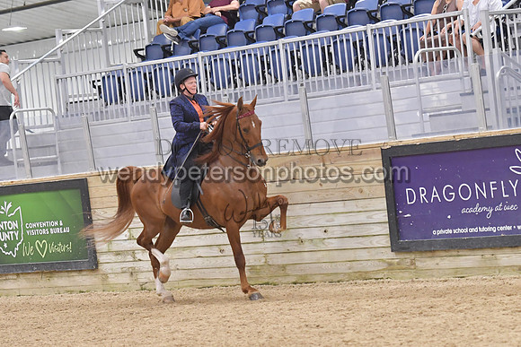 088_9685-Do_not_copy_PROOF