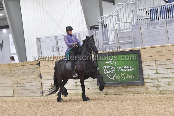 088_9690-Do_not_copy_PROOF