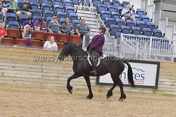 088_9637-Do_not_copy_PROOF