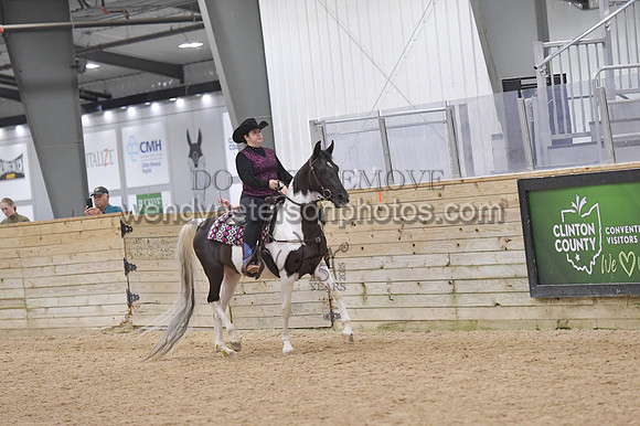 088_9648-Do_not_copy_PROOF