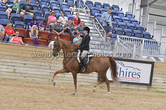 088_9646-Do_not_copy_PROOF