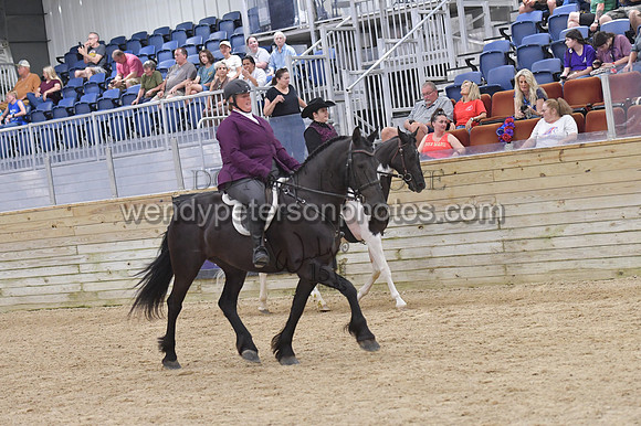 088_9650-Do_not_copy_PROOF