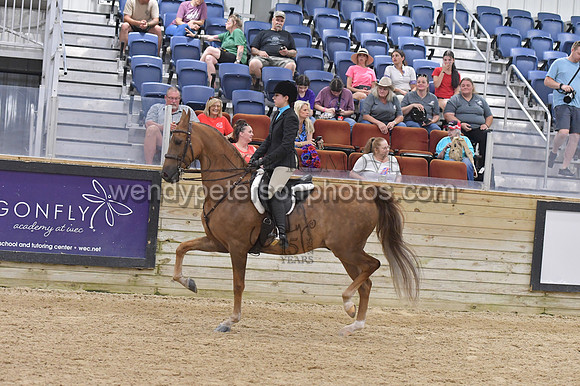 088_9647-Do_not_copy_PROOF