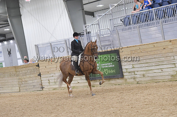 088_9653-Do_not_copy_PROOF