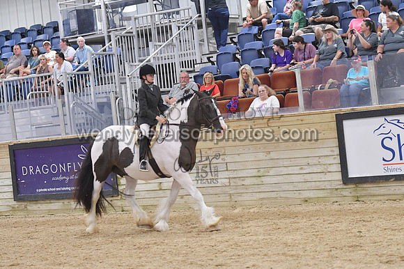 088_9655-Do_not_copy_PROOF