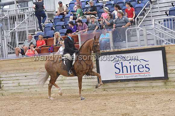 088_9654-Do_not_copy_PROOF
