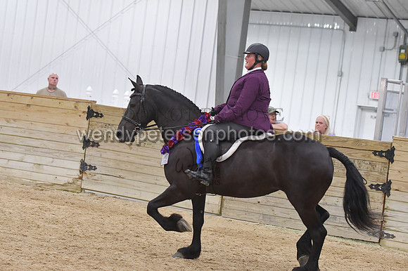 088_9668-Do_not_copy_PROOF