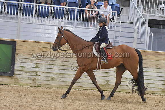 088_9672-Do_not_copy_PROOF