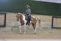 087 Arab/Half Western Pleasure