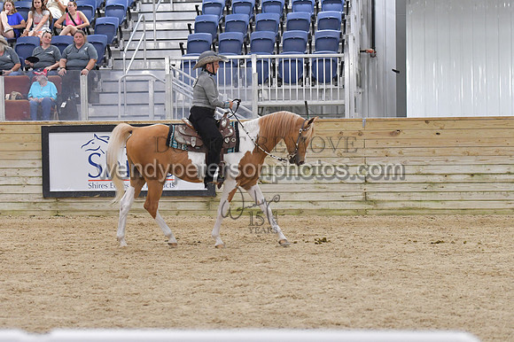 087_9610-Do_not_copy_PROOF
