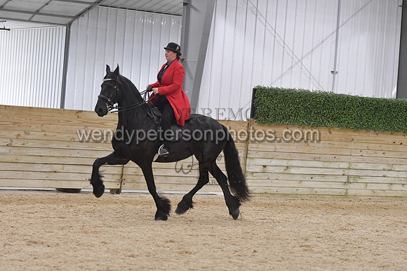 085_9563-Do_not_copy_PROOF