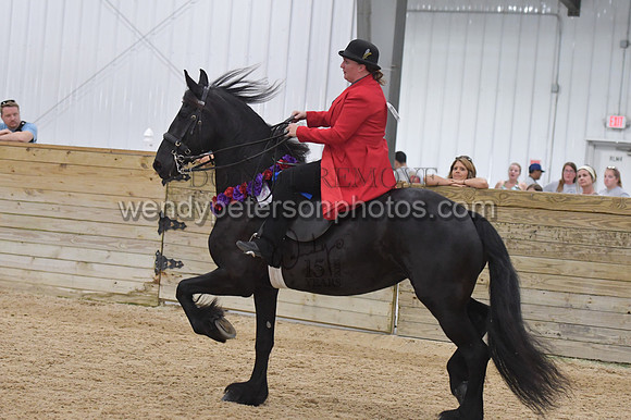 085_9597-Do_not_copy_PROOF