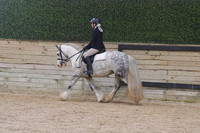084 Dressage Suitability WTC Open