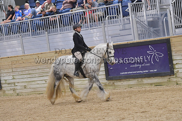 084_9533-Do_not_copy_PROOF