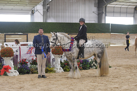 084_9538-Do_not_copy_PROOF