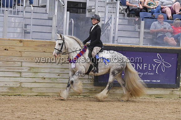 083_9510-Do_not_copy_PROOF