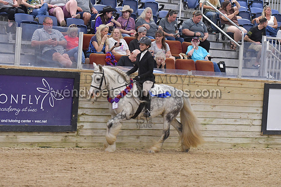 083_9509-Do_not_copy_PROOF