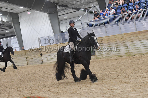 082_9468-Do_not_copy_PROOF