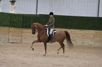 081 ASB Hunter Country Pleasure Open