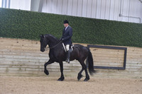 080.1 Friesian English Pleasure Hunt Seat