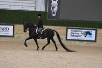 079 Arab/Half Hunter Pleasure Open