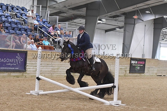 053_8933-Do_not_copy_PROOF