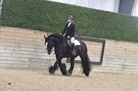 067 Hunter Under Saddle WT 9-14