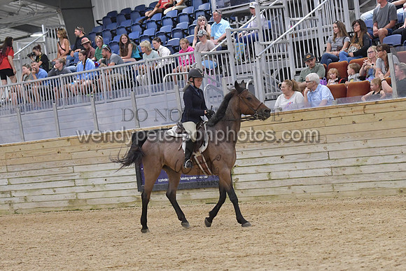 067_9017-Do_not_copy_PROOF