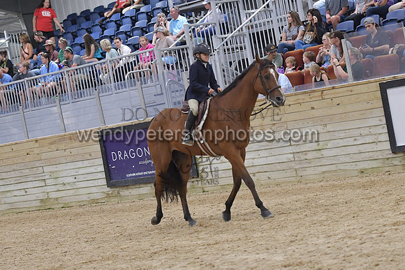 067_9020-Do_not_copy_PROOF