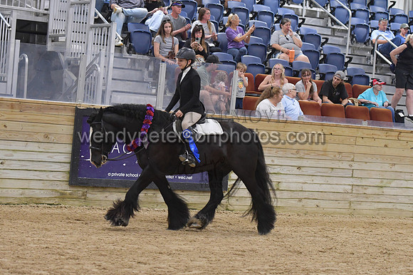 067_9036-Do_not_copy_PROOF