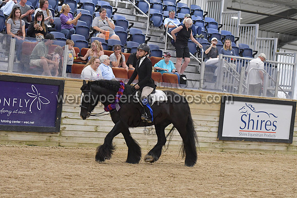067_9035-Do_not_copy_PROOF