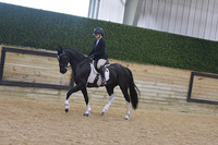 069 Hunter Under Saddle WT 15+