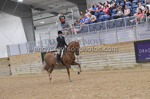 069_9082-Do_not_copy_PROOF
