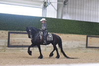 070.1 Western Pleasure WJL Amateur